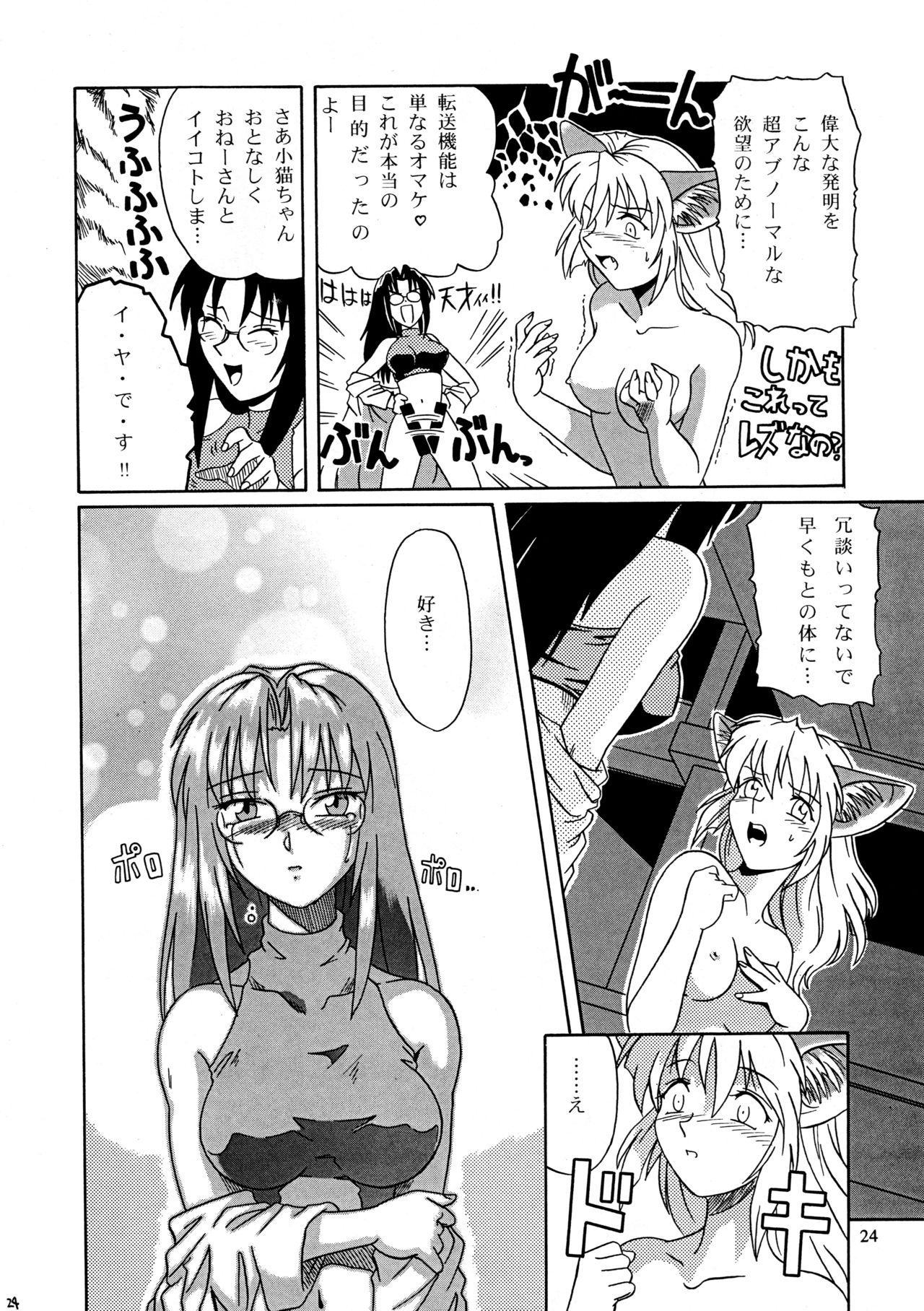 (C53) [ネコミミ団 (つつみあかり)] CAZA MAYOR 2