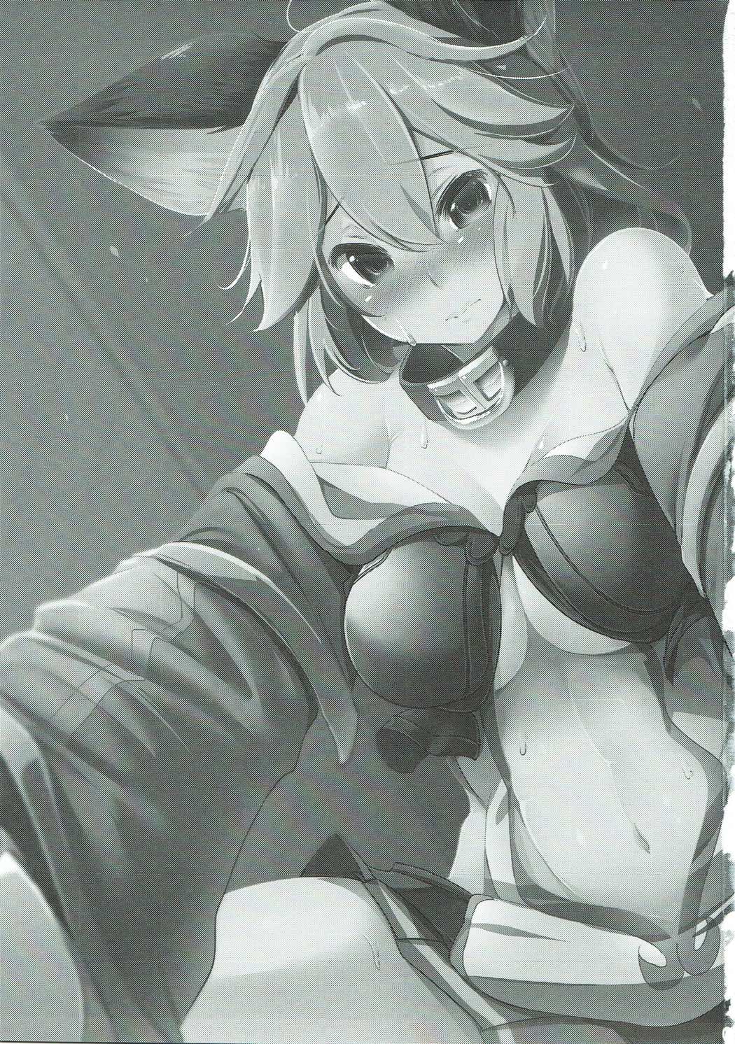 (C91) [秋風アスパラガス (秋)] センちゃんは発情期!? (グランブルーファンタジー)