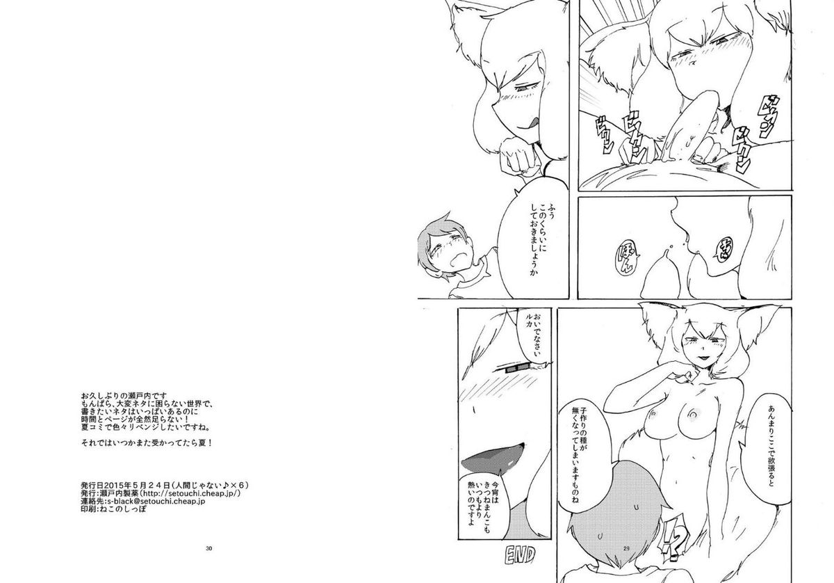 [瀬戸内製薬 (瀬戸内)] ポケット魔王城! (もんむす・くえすと!)
