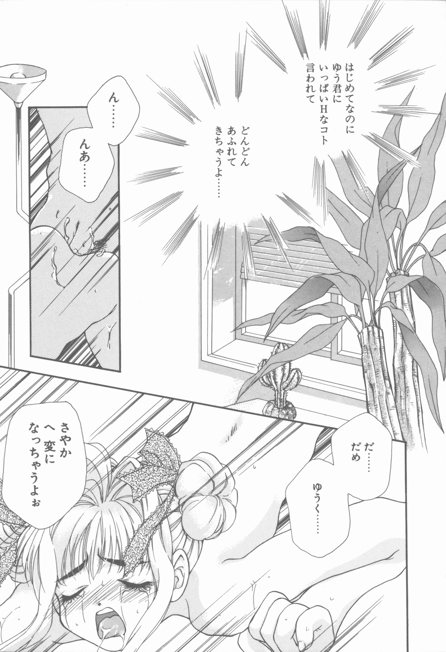 [花屋敷ぼたん] KISSの次のつぎ