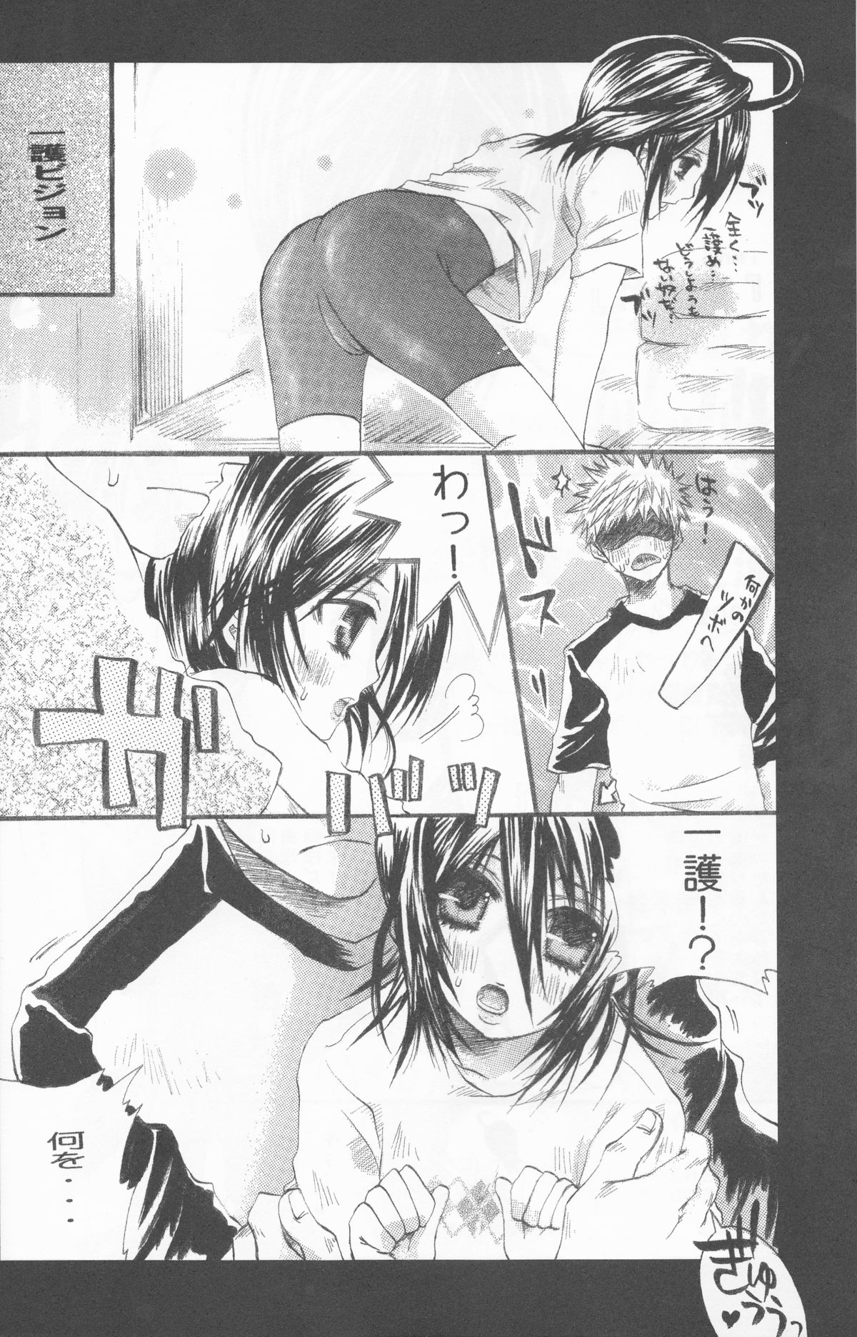 (C70) [ぽんちーず(仮) (彩羽スイ)] 朽木ルキアミニマムマニアックス通信。 (ブリーチ)