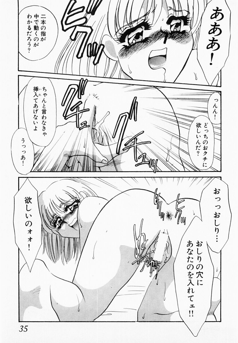 [海野やよい] 嘘つきな淫花