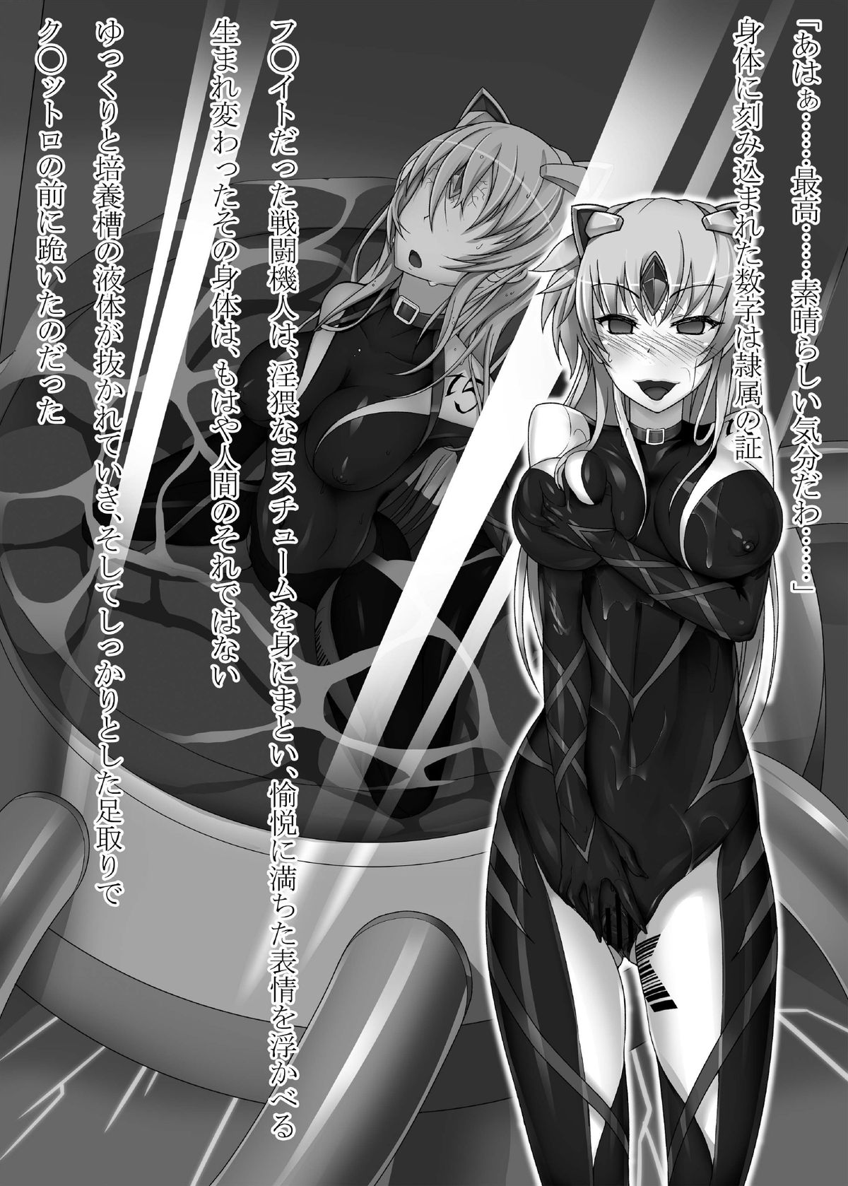 [堕落事故調査委員会 (シューミット)] 堕落執務官 (魔法少女リリカルなのは) [DL版]