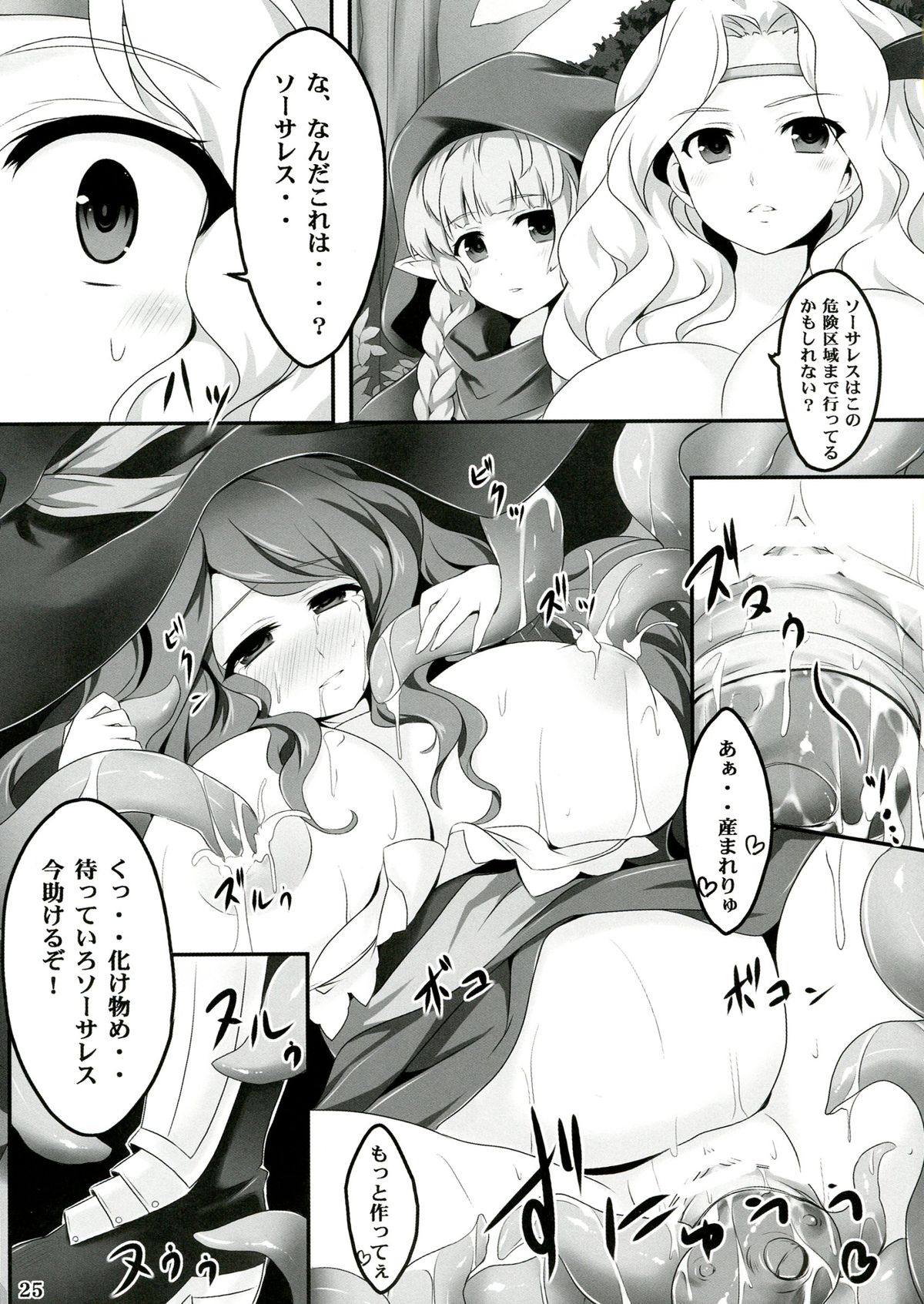 (C84) [ユーカリハウス (瑞稀桜花)] 魔女の蜜 (ドラゴンズクラウン)