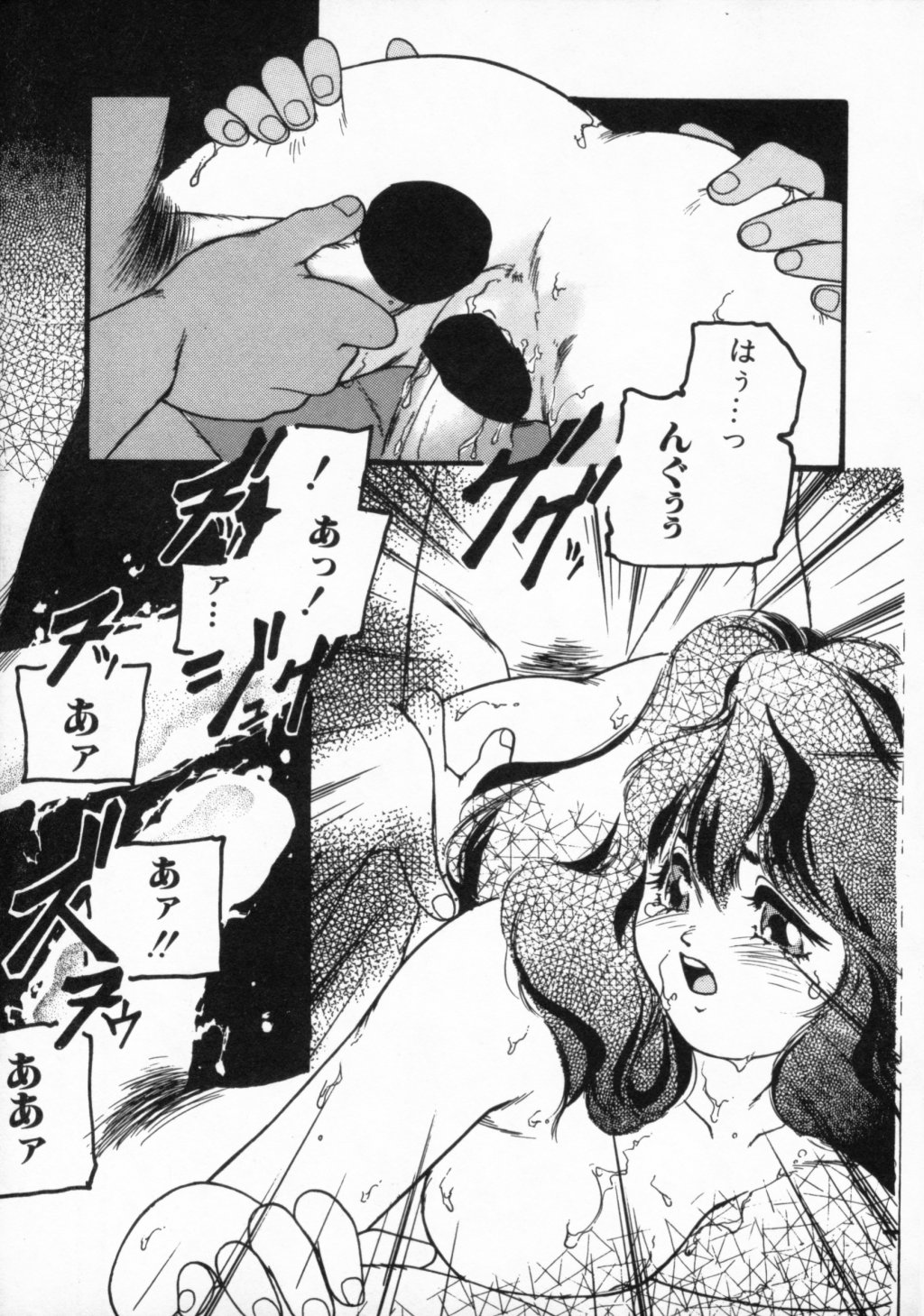 [プロトンザウルス] ●●●● ピーーーーッ