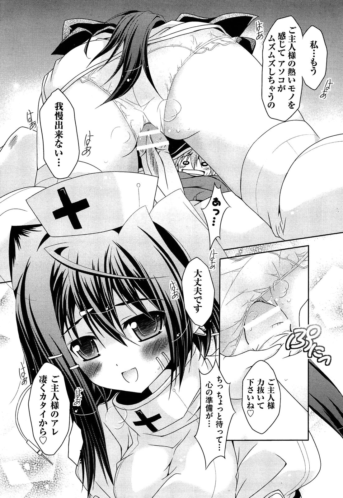 [神楽武志] 縞ぱんは正義! (2013-7-26)