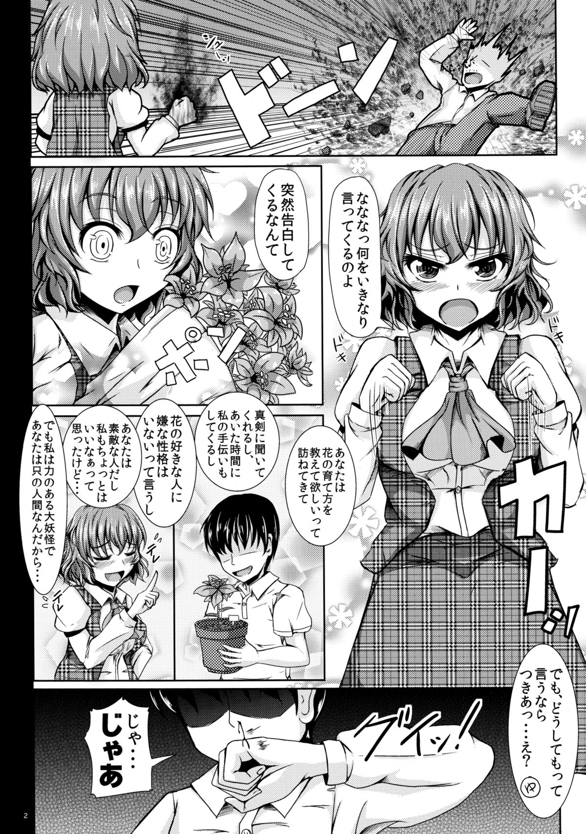 (例大祭9) [ロケット調査室 (コザ)] ゆうかりんChuChu (東方Project)