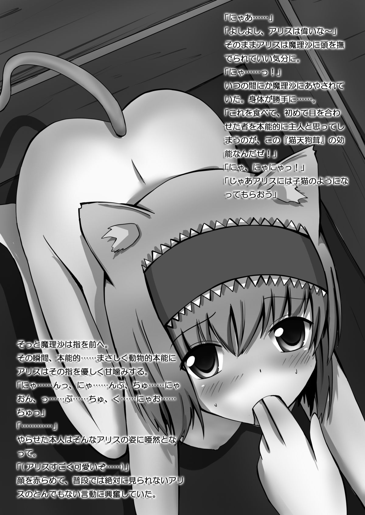 [イーゼル社] 東方絵ろ本＋ (東方Project) [DL版]