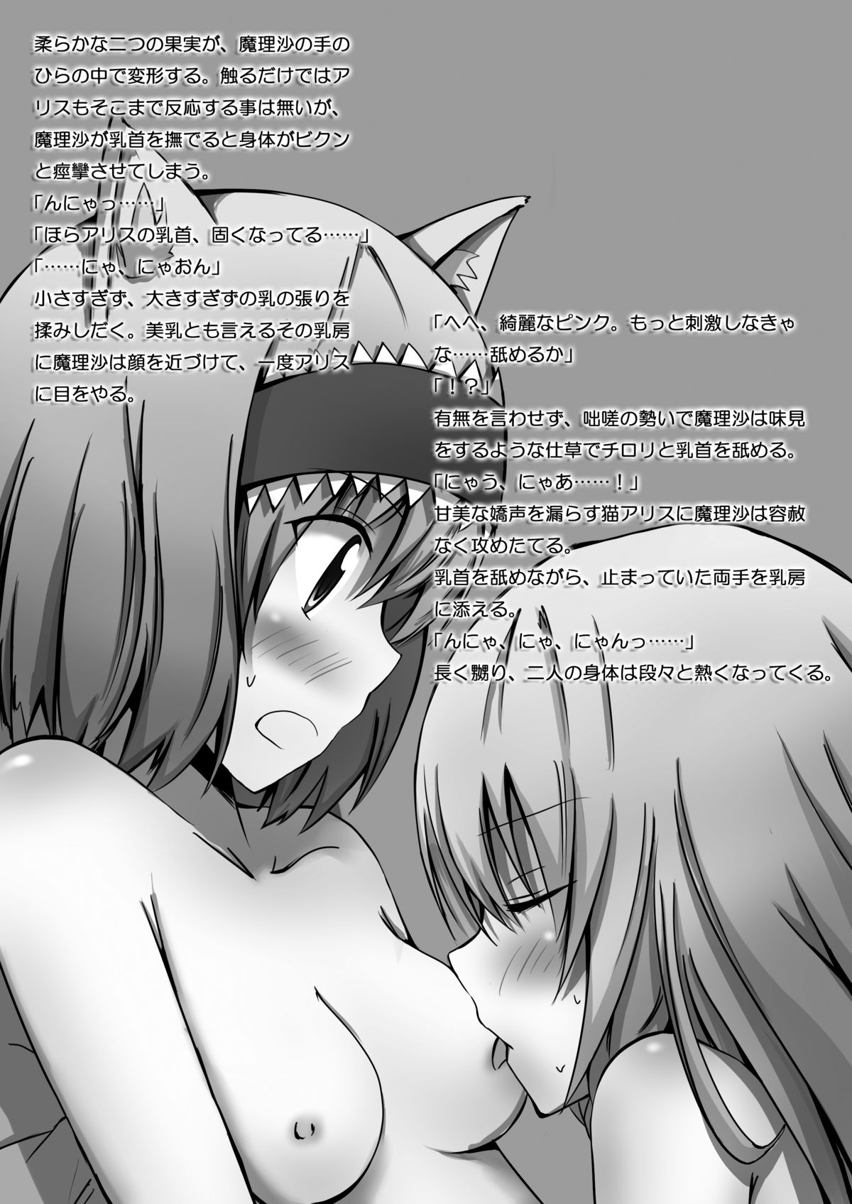 [イーゼル社] 東方絵ろ本＋ (東方Project) [DL版]
