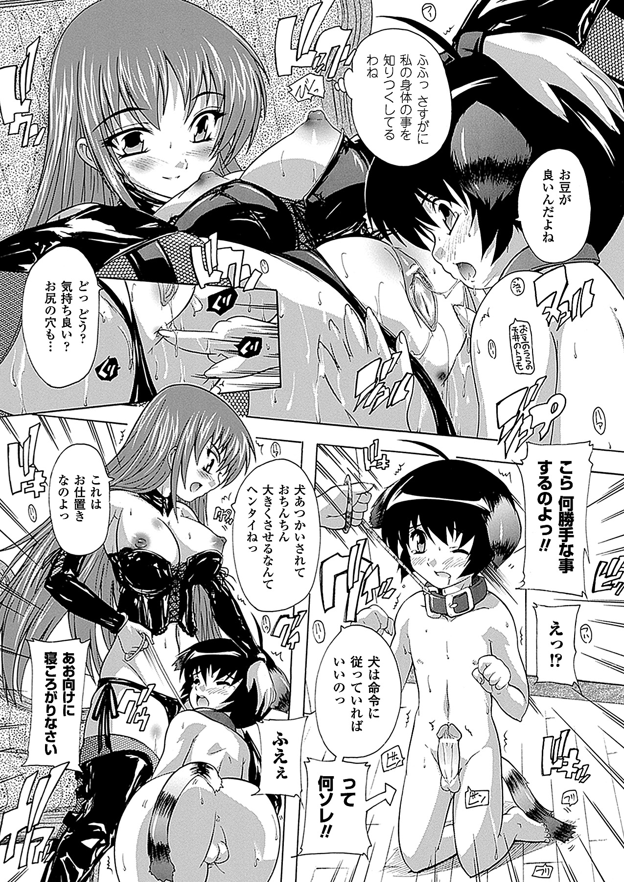 コミックアンリアル 2011年2月号 Vol.29 [DL版]