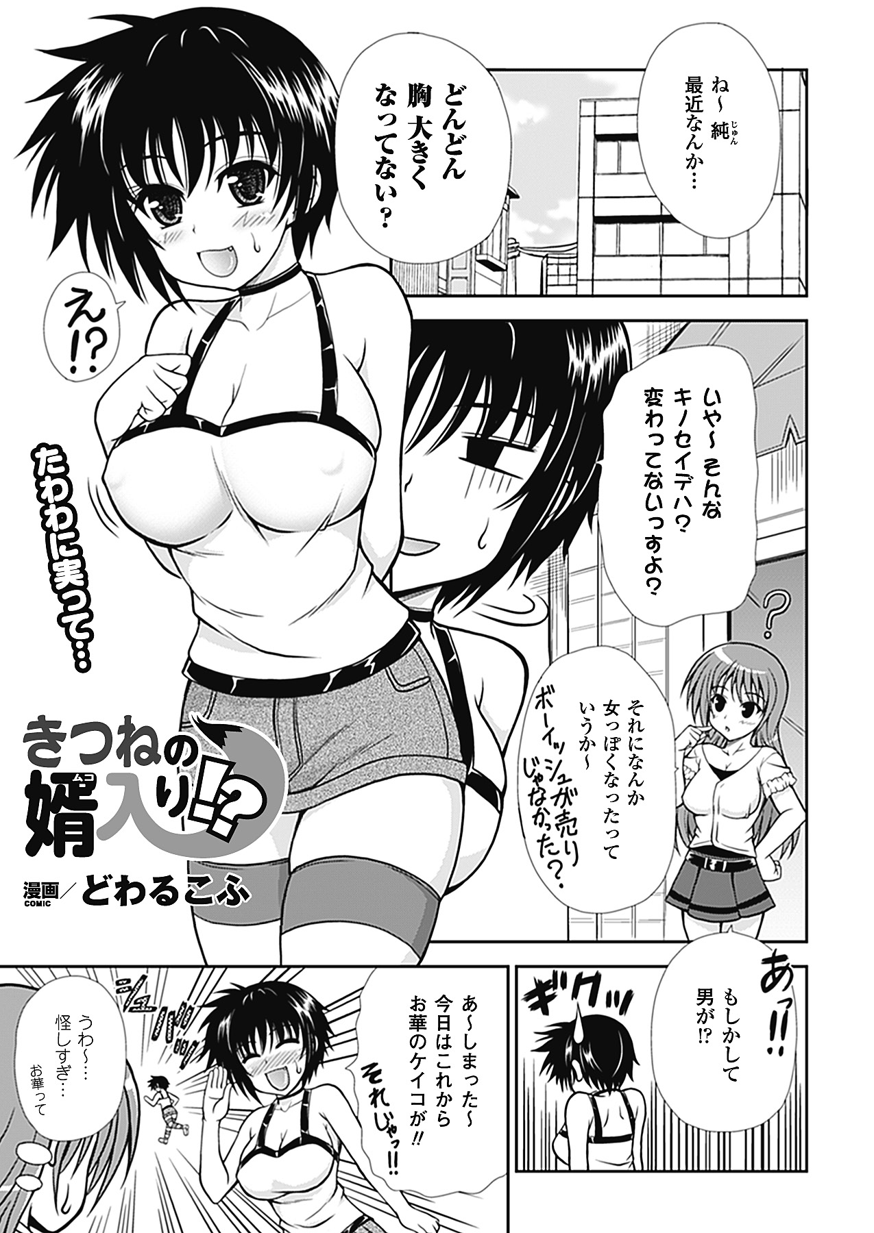 コミックアンリアル 2011年2月号 Vol.29 [DL版]