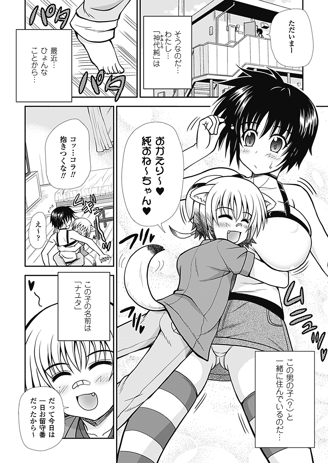 コミックアンリアル 2011年2月号 Vol.29 [DL版]