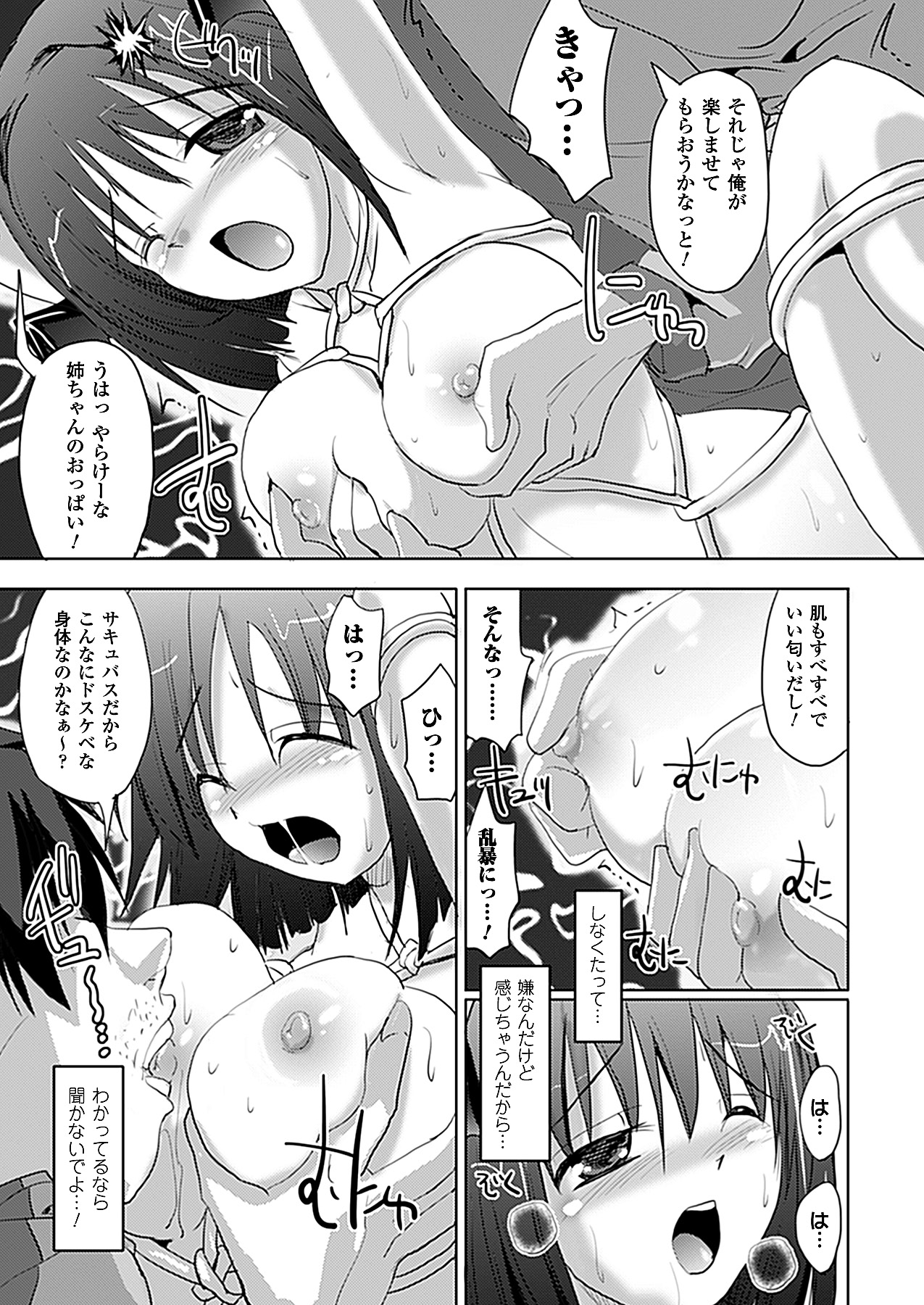コミックアンリアル 2011年2月号 Vol.29 [DL版]