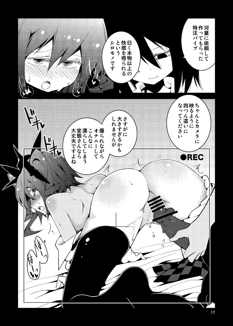 (C80) [不可解道楽 (ぎょ)] はたてちゃんの××××を撮らせてください!! (東方Project)