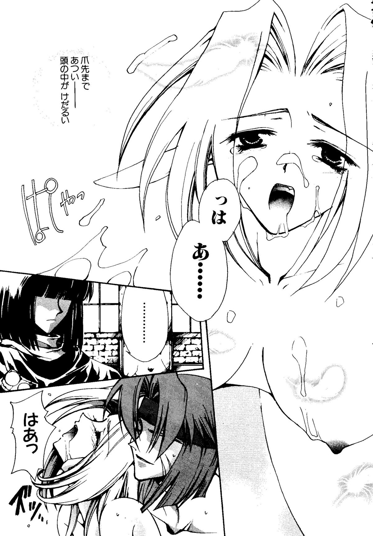 【同人誌アンソロジー】GettenPlus（まもって護月天、ナデシコ、バブルガムクライシス東京2040、南海奇皇、スレイヤーズ）