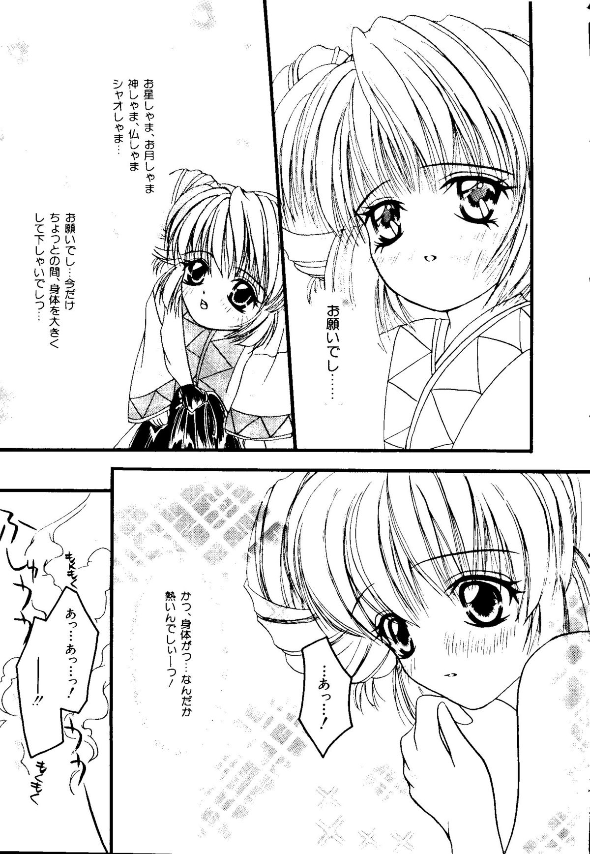 【同人誌アンソロジー】GettenPlus（まもって護月天、ナデシコ、バブルガムクライシス東京2040、南海奇皇、スレイヤーズ）