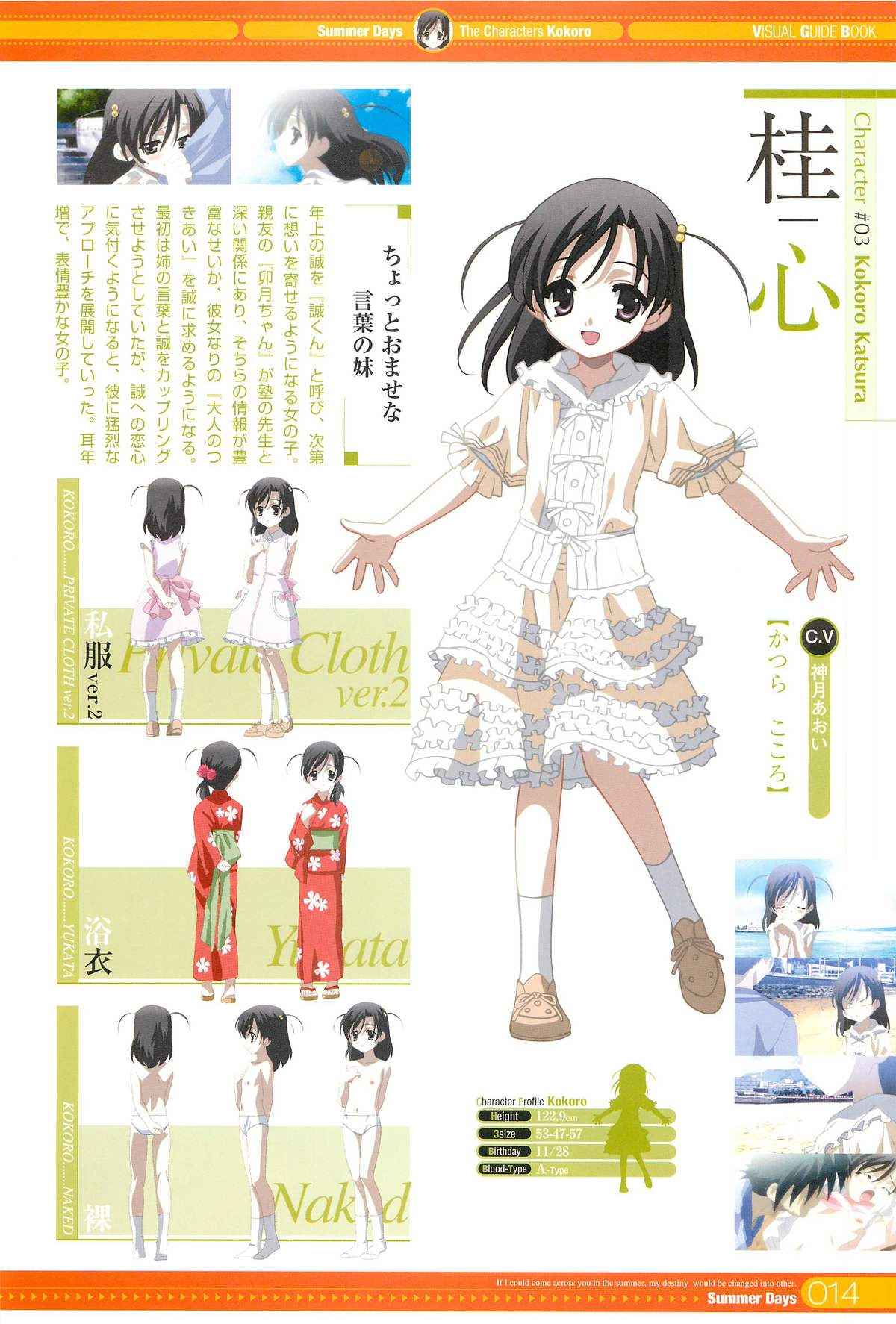SummerDays ビジュアル・ガイドブック