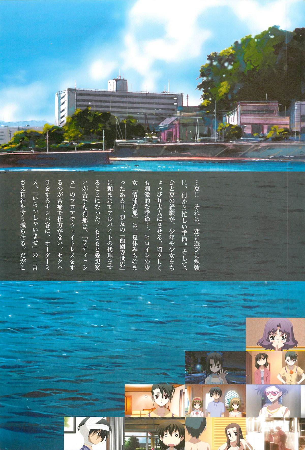 SummerDays ビジュアル・ガイドブック
