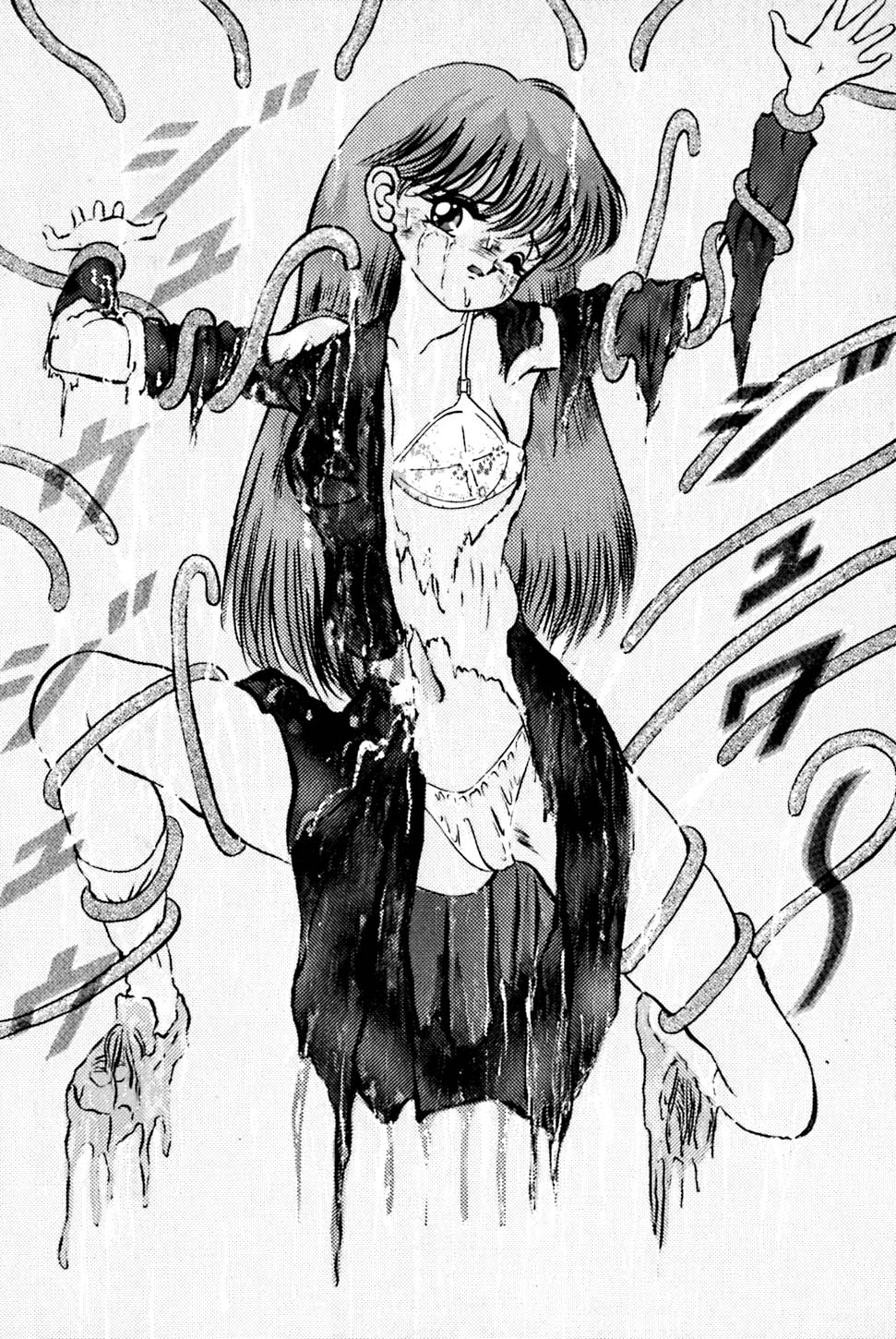 [鋭利菊] 奇妙な果実