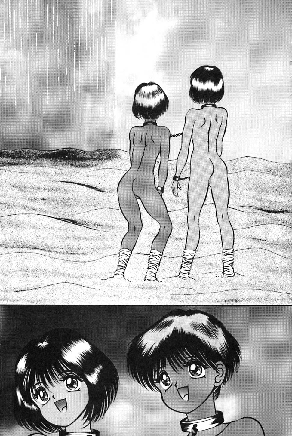 [鋭利菊] 奇妙な果実