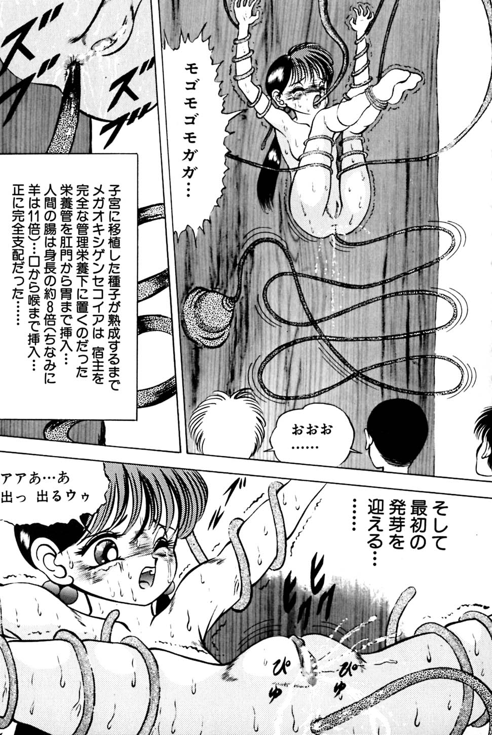 [鋭利菊] 奇妙な果実