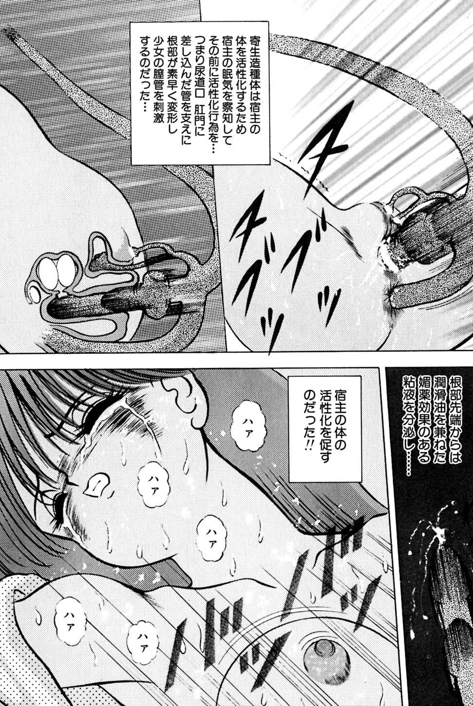 [鋭利菊] 奇妙な果実