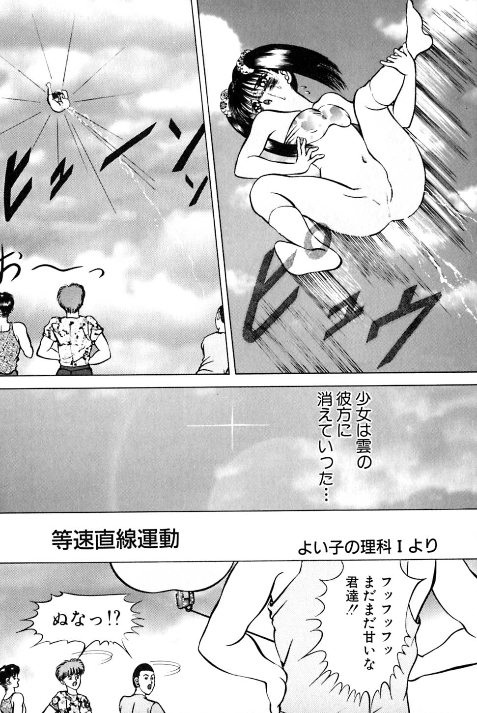 [鋭利菊] 奇妙な果実