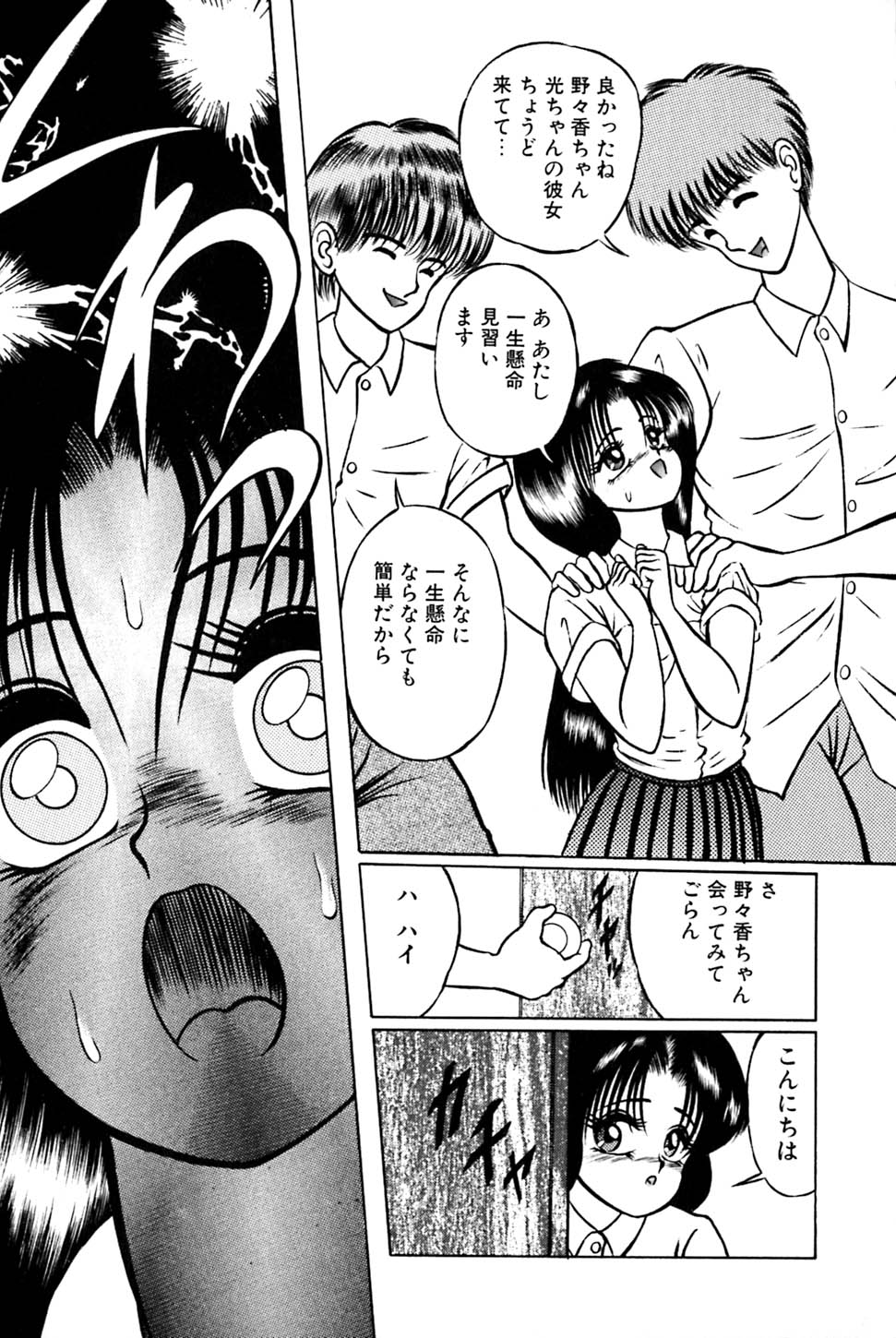 [鋭利菊] 奇妙な果実