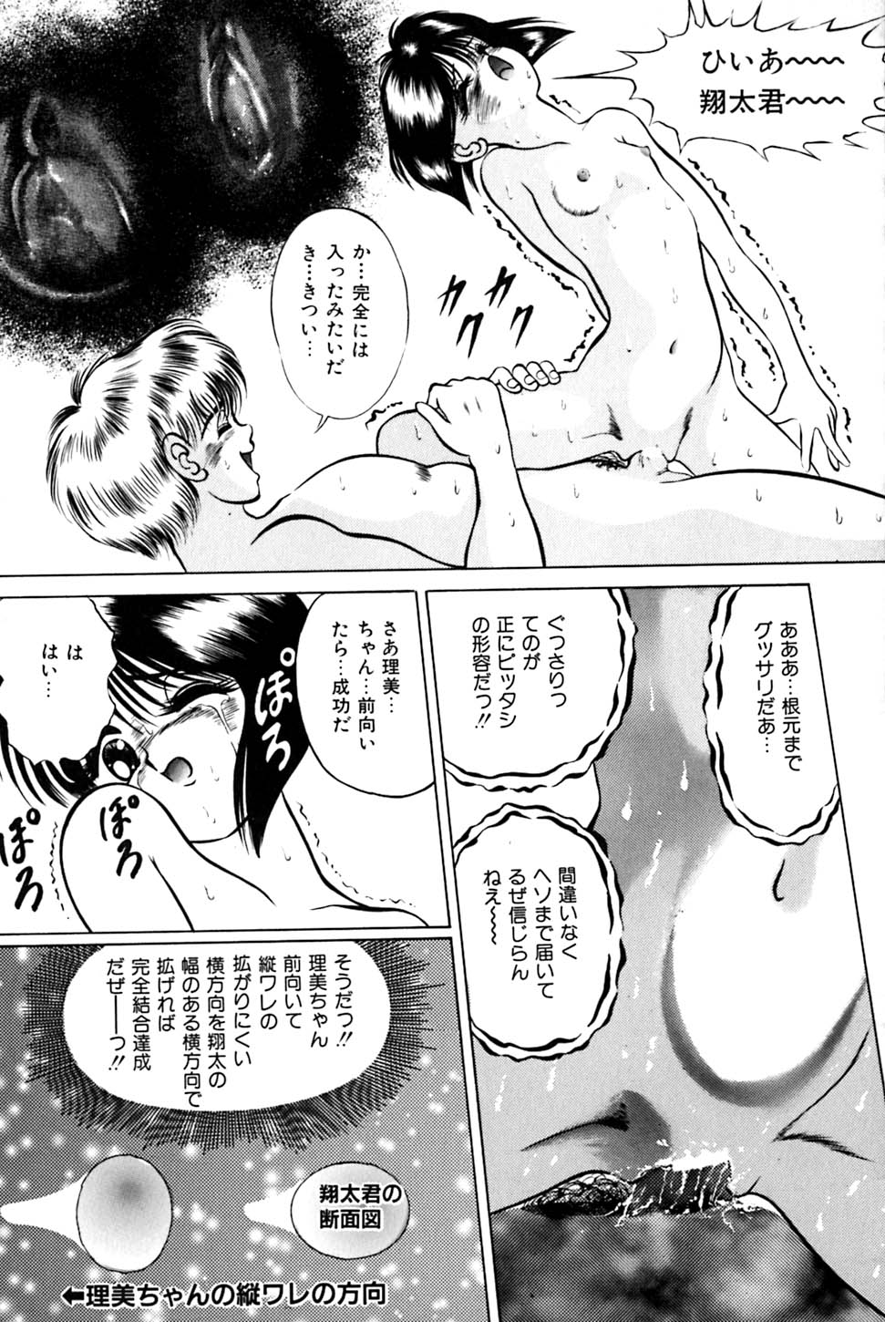 [鋭利菊] 奇妙な果実