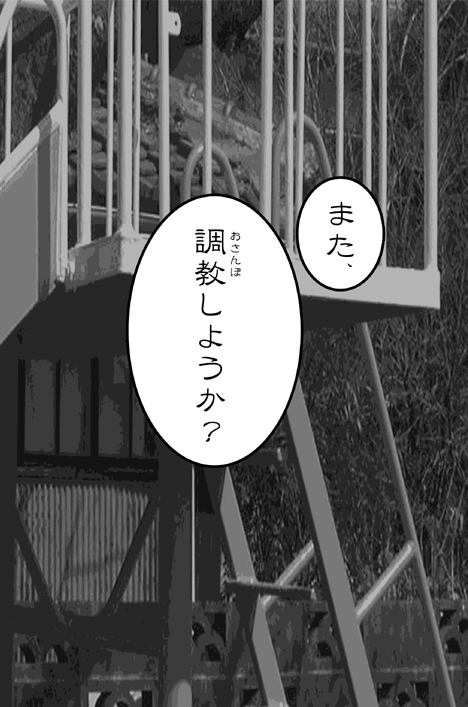 [やせうまロール]私的趣向～はじめてのおさんぼ(まごころディスク総集編 omake2)