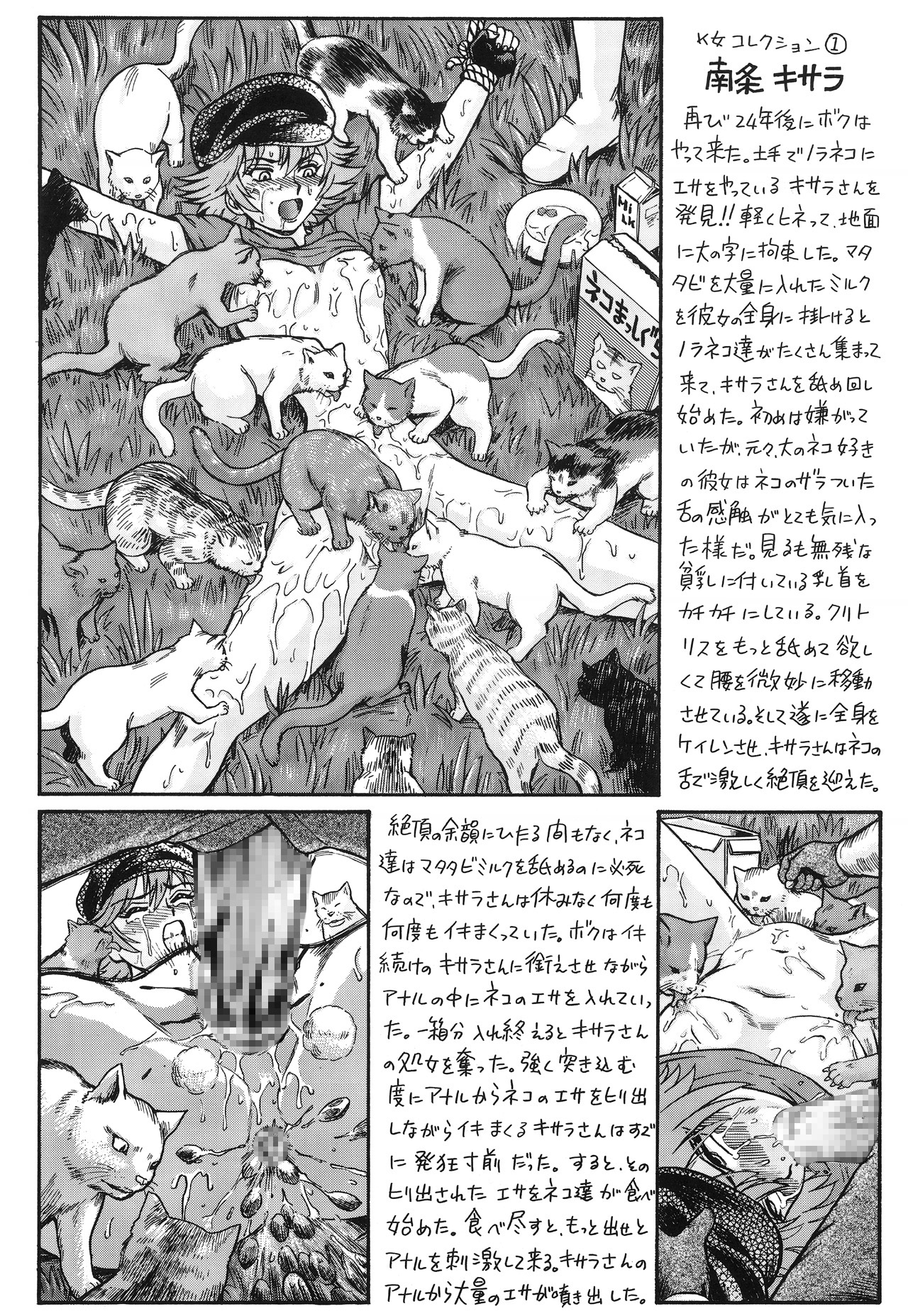 [RAT TAIL (Irie Yamazaki)] TAIL-MAN MIU FUURINNZI BOOK (史上最強の弟子ケンイチ) [DL版]