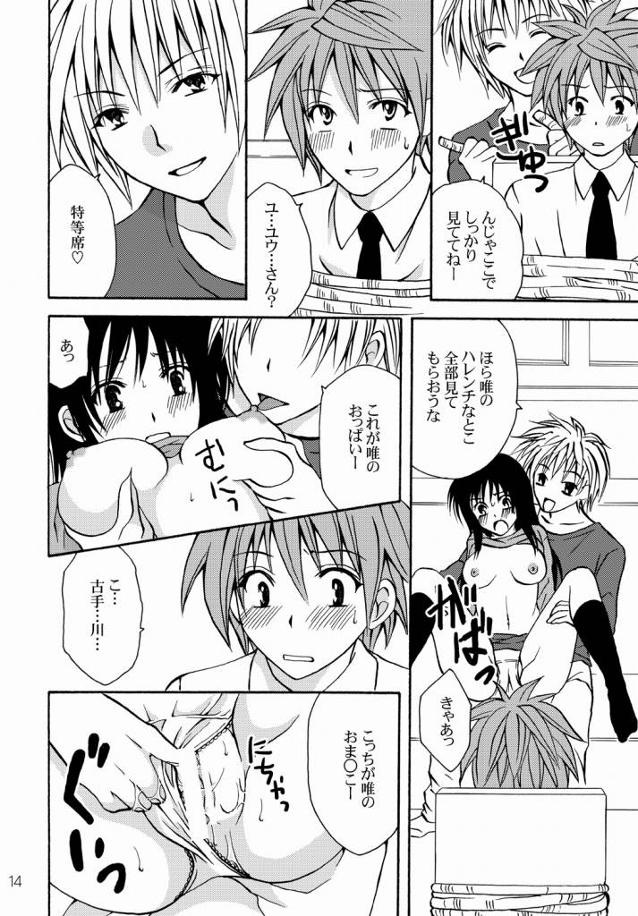 (C76) [氷月 (百乃木富夢)] 私と彼とお兄ちゃん (ToLOVEる-とらぶる-)