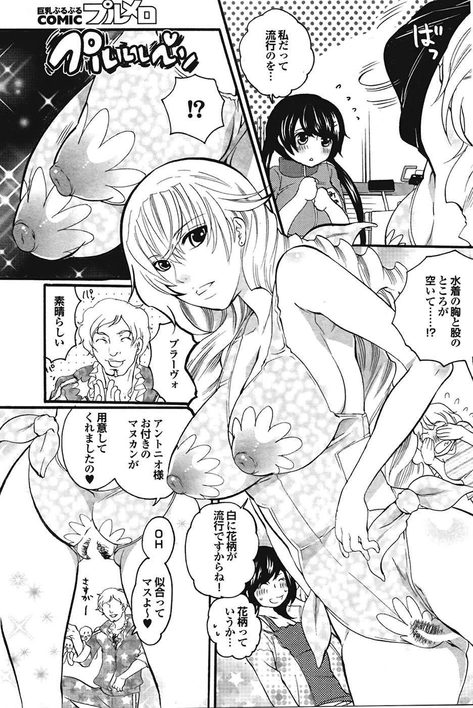 COMIC プルメロ 2009年05月号 vol.29