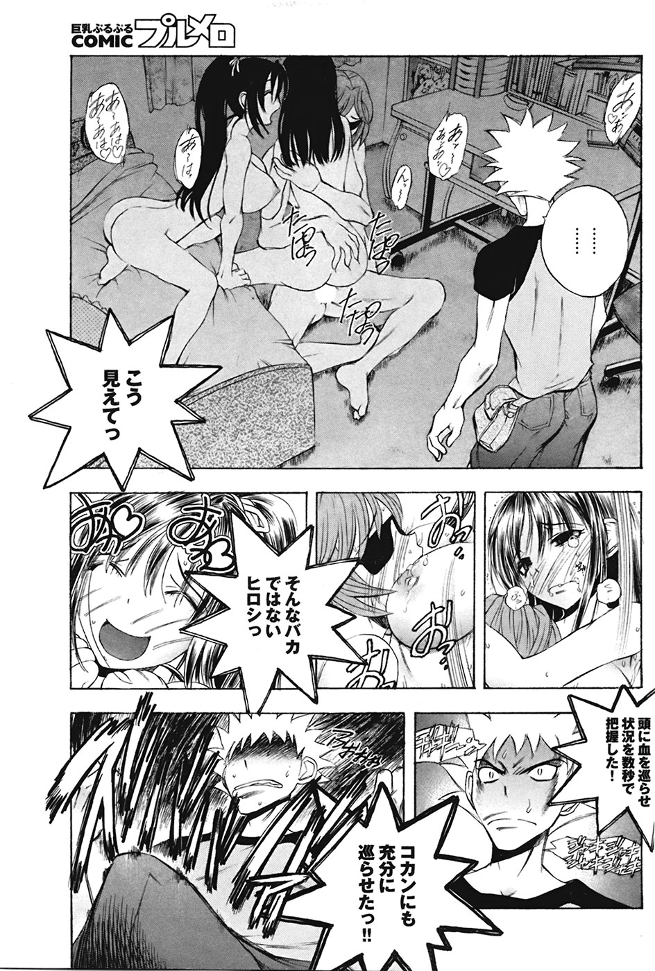 COMIC プルメロ 2009年05月号 vol.29