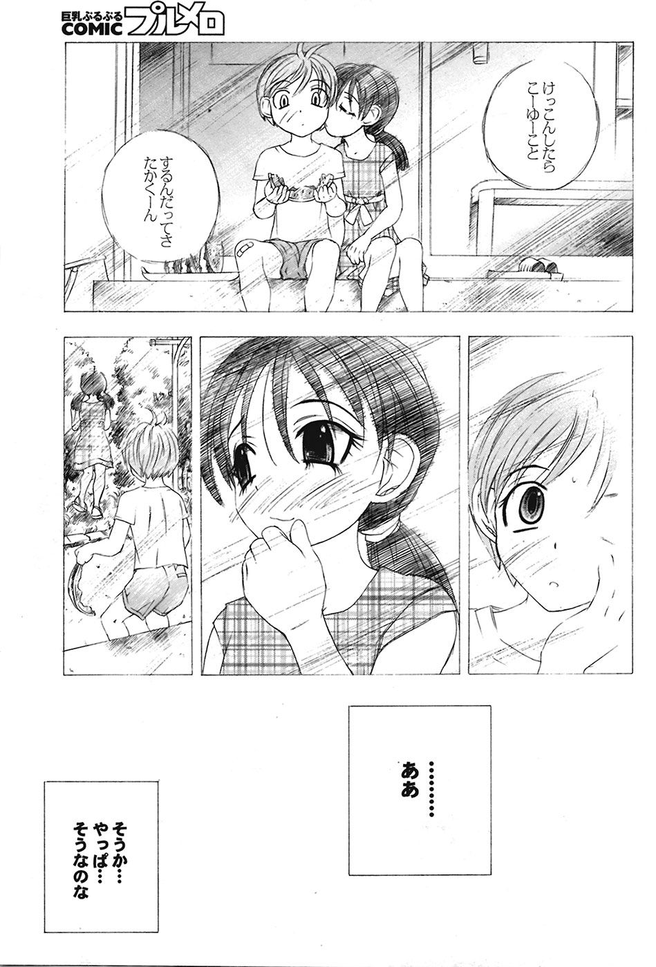 COMIC プルメロ 2009年05月号 vol.29