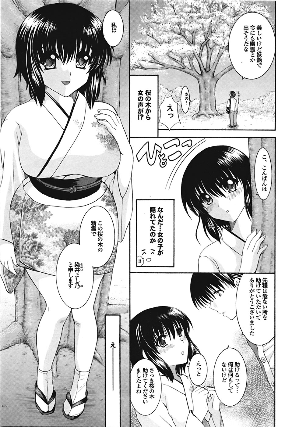 COMIC プルメロ 2009年05月号 vol.29