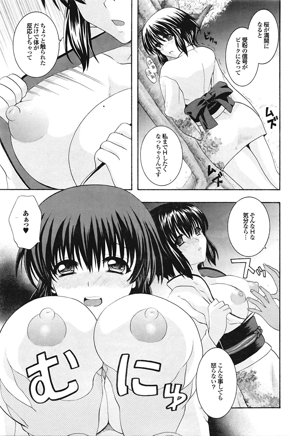 COMIC プルメロ 2009年05月号 vol.29