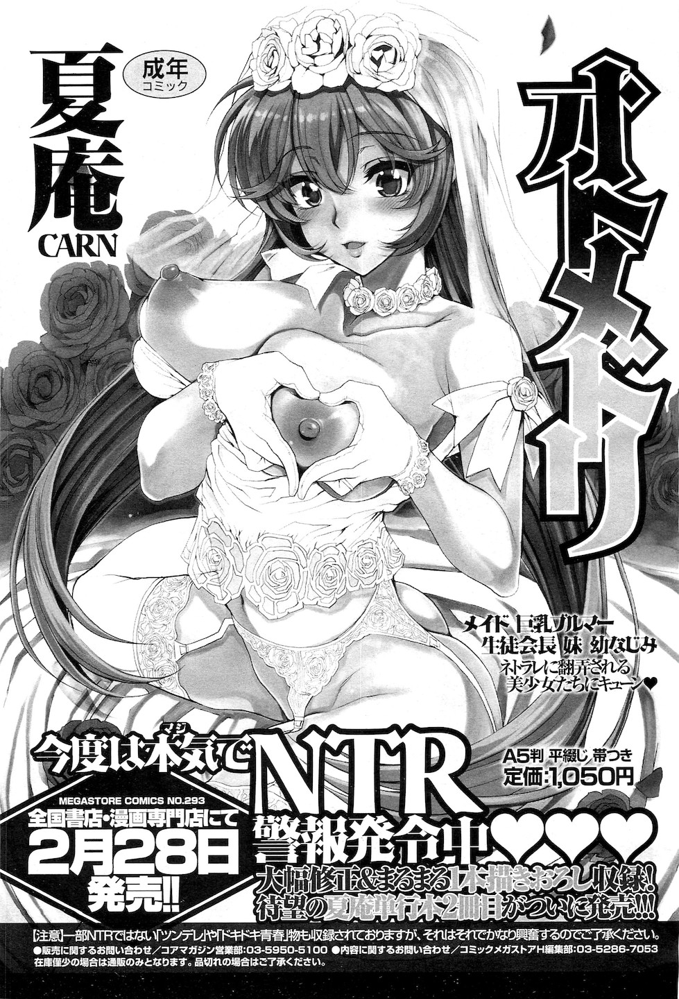 コミックメガストアH 2011年3月号