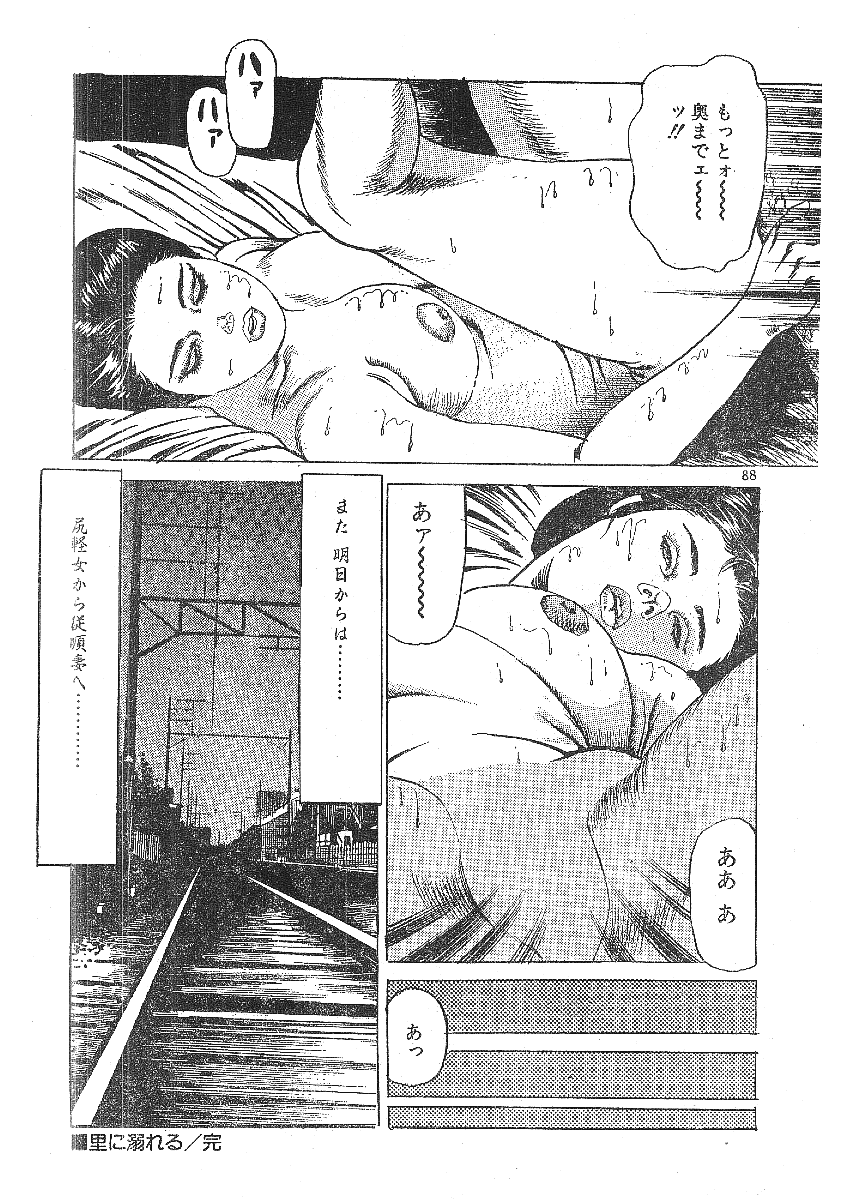 [藤井とおる] 不倫エロス劇画集