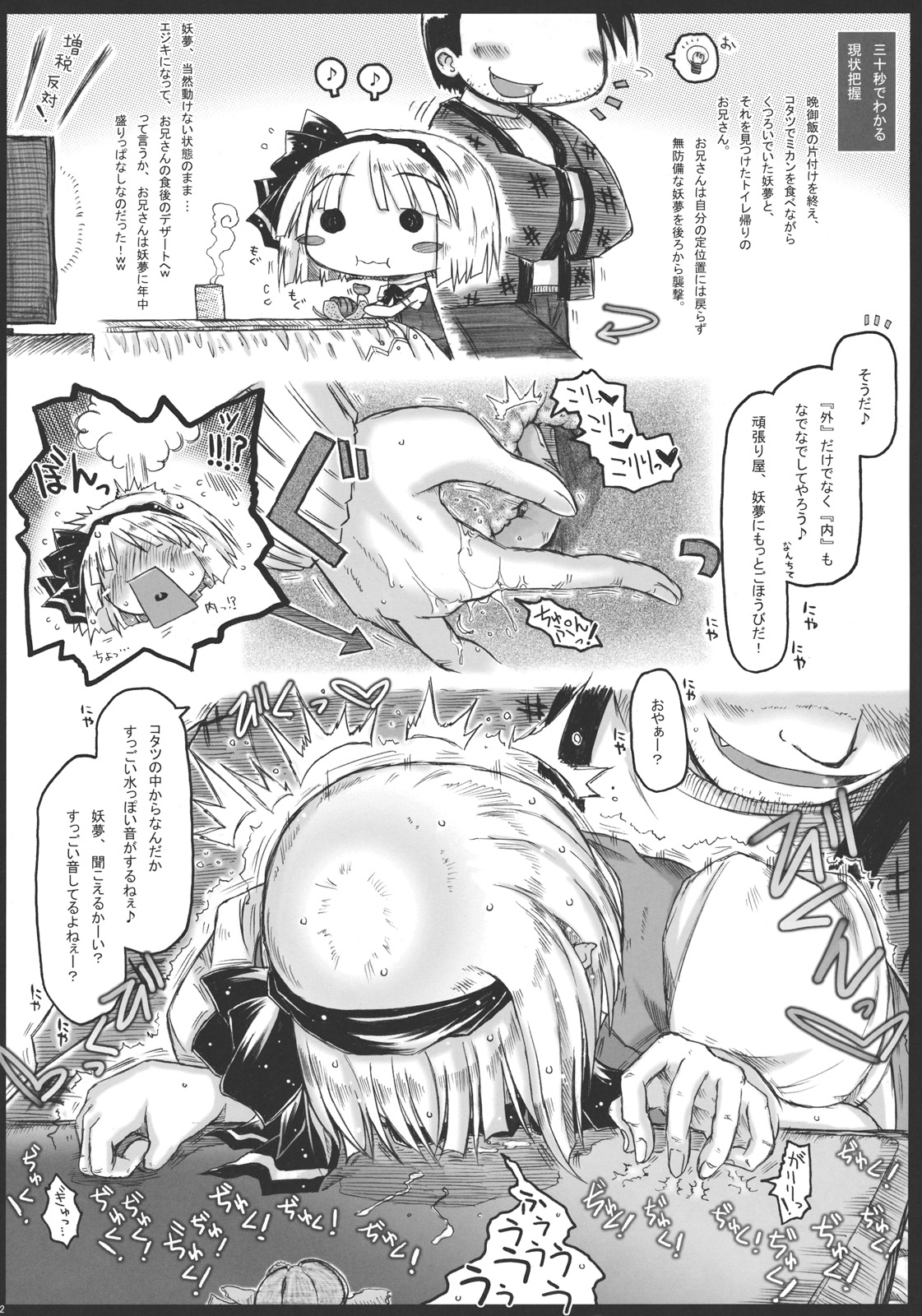 (例大祭8) [暗黒暴走組 (アイヌマニア)] みょんな通い妻3 じょいふるえんとりー (東方Project)