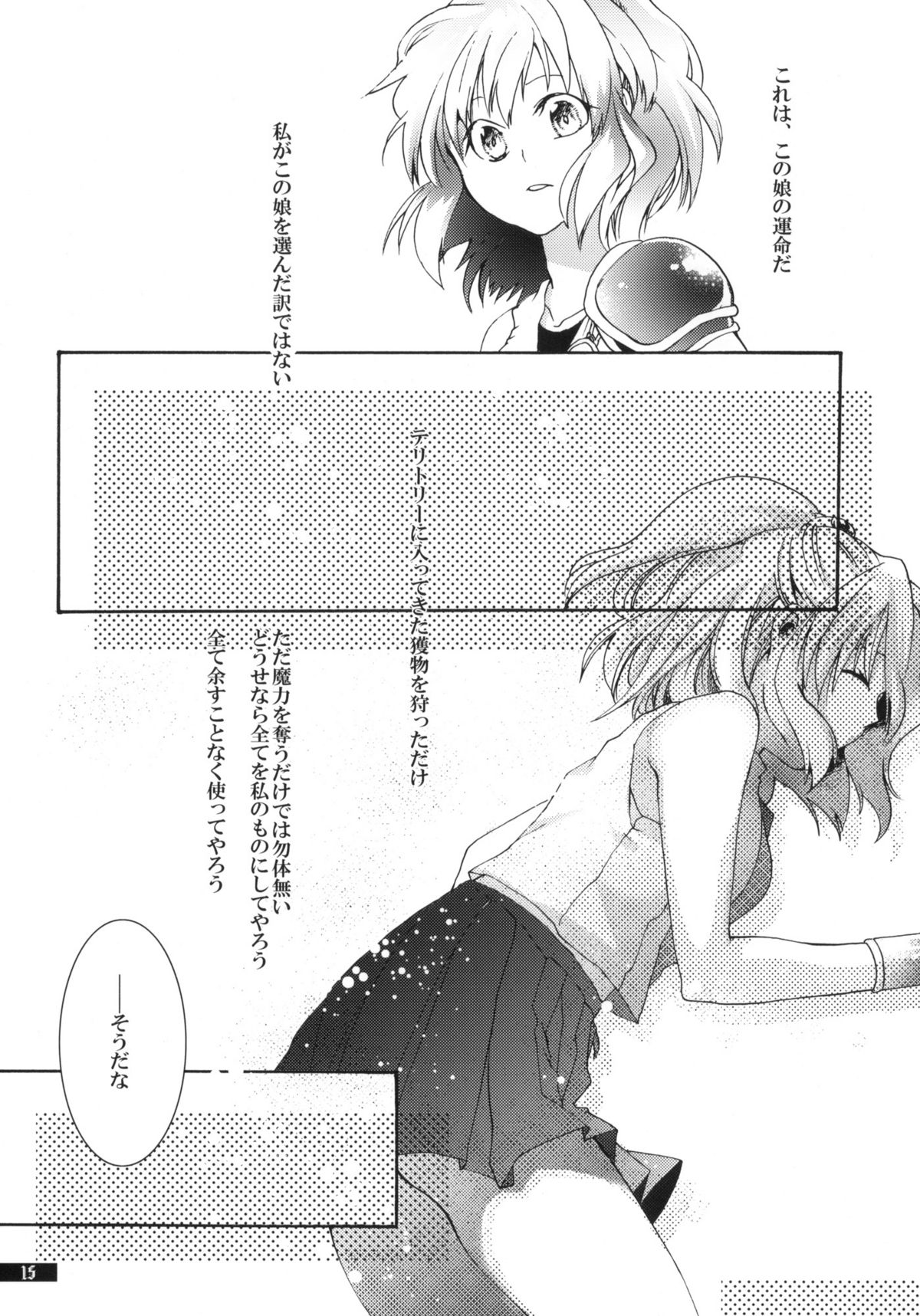 (C79) [月華の猫 (おゆき)] 星屑輪舞 (魔導物語)