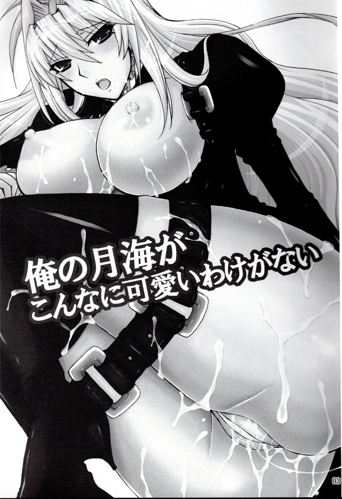 (C78) [ハニーバンプ (中津川みのる)] 俺の月海がこんなに可愛いわけがない (セキレイ)