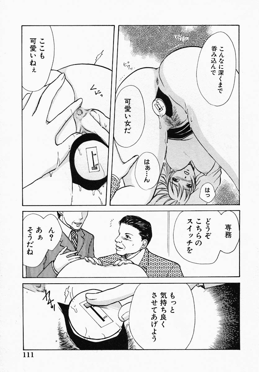 [緋龍高弘] ウツクシイヒト