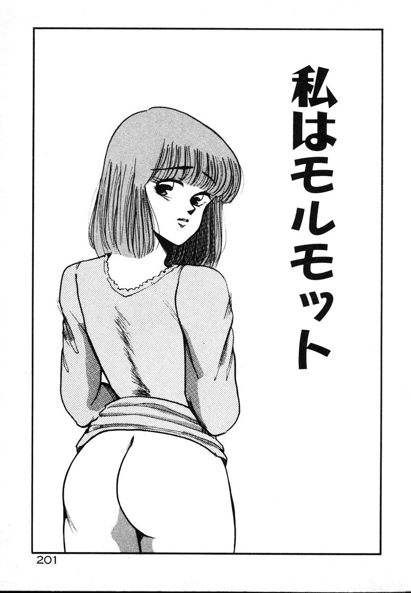[美和卯月] 放課後はＨタイム