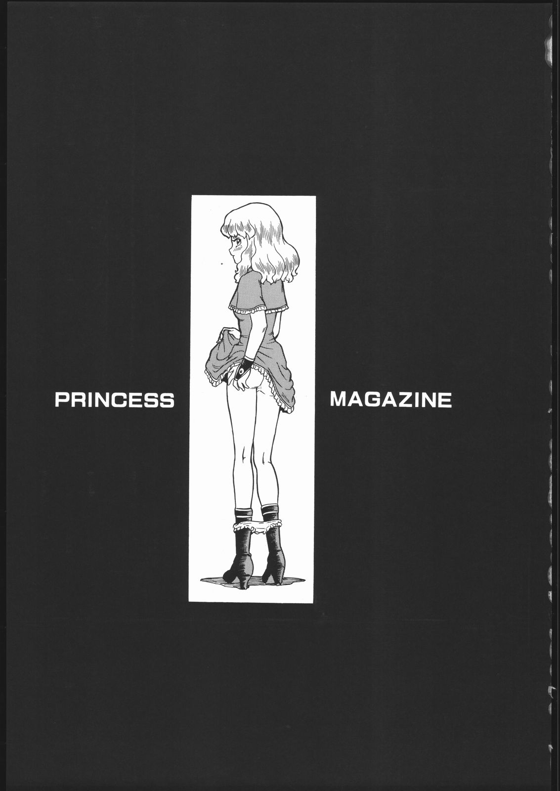 (コミティア76) [RAT TAIL (IRIE YAMAZAKI)] PRINCESS MAGAZINE NO.2