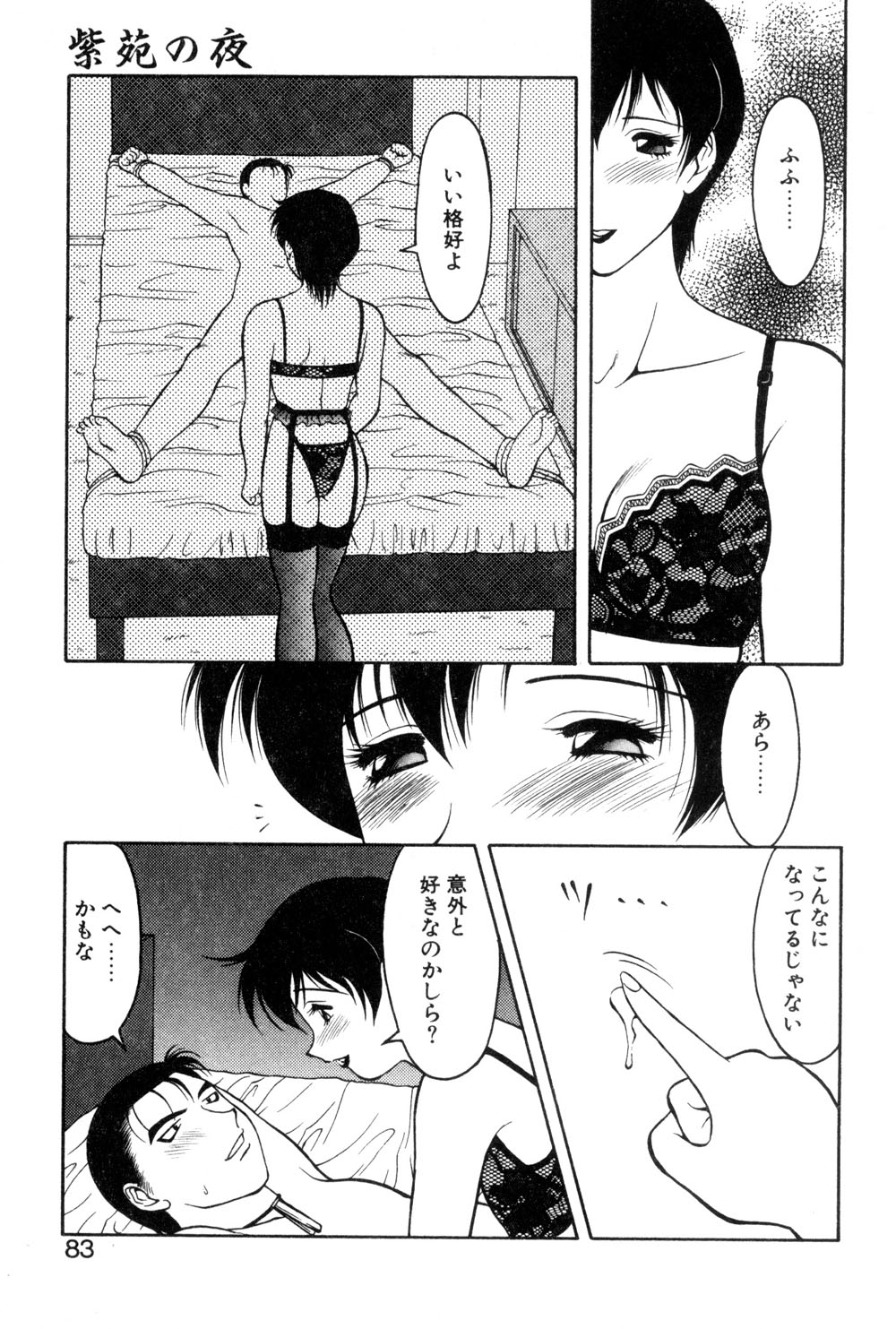 [拝狼] 紫苑の夜 愛蔵版