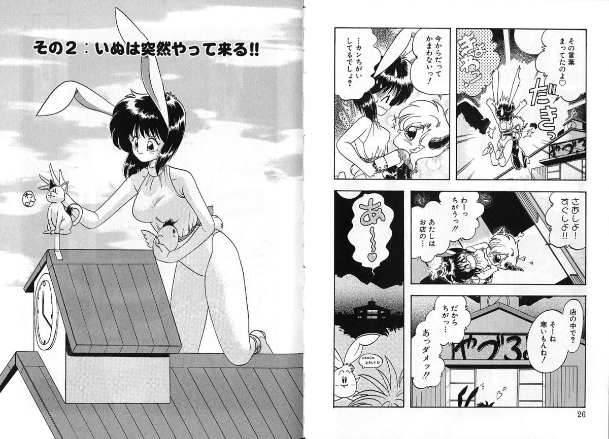 [茶々木紀之] 雑貨屋とゆう名の博物館
