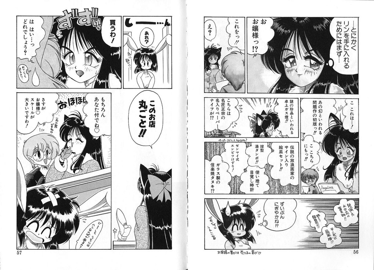 [茶々木紀之] 雑貨屋とゆう名の博物館