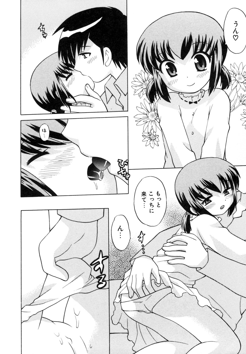 [琴の若子] 奥さまDEナイト 第5巻