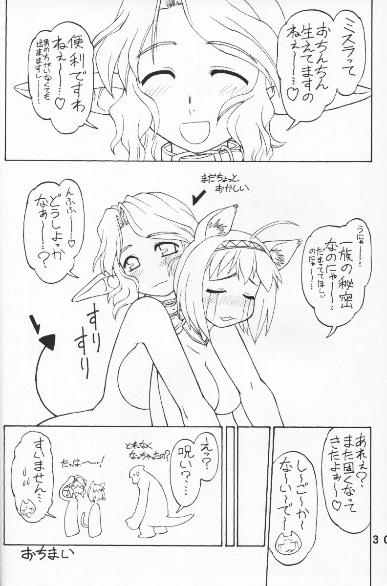 (C65) [ぢゃっからんたん (えびふらい、ねりわさび)] 君といたmemory (ファイナルファンタジー XI)